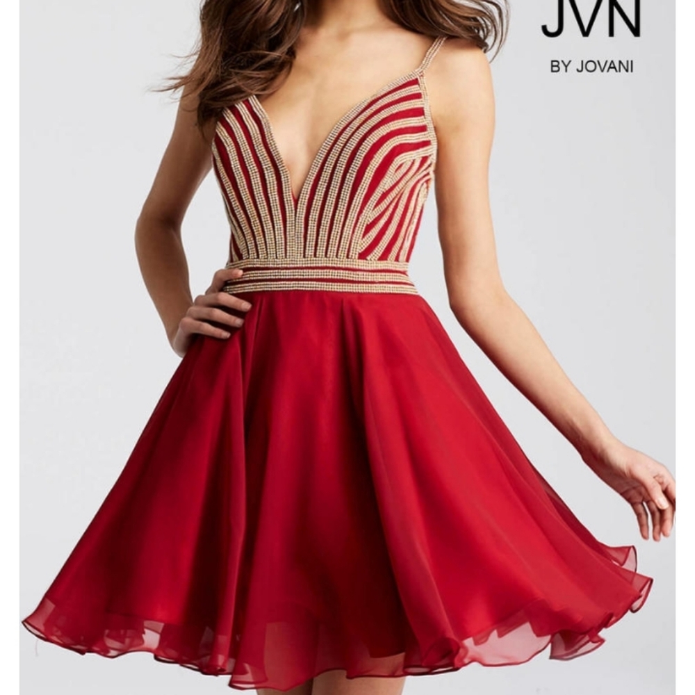 Stunning Embilleshed Burgundy Bodice Chiffon Dress